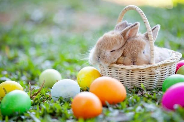 Fun Ideas for Easter Baskets at Legacy Toys
