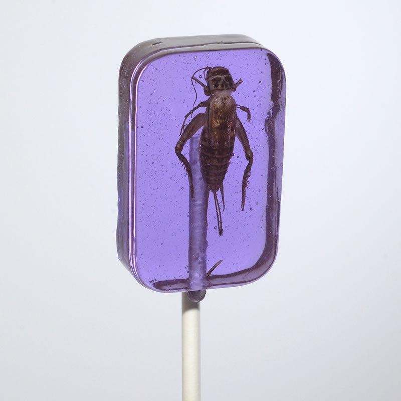 Hotlix-Cricket Lick-It Suckers Assorted Flavors-227-1-Legacy Toys