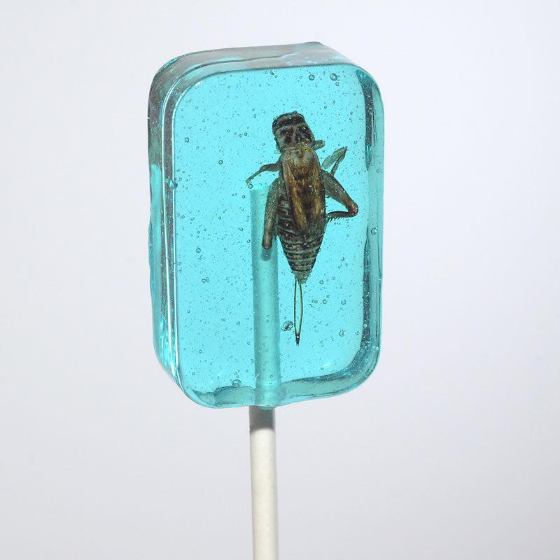 Hotlix-Cricket Lick-It Suckers Assorted Flavors-227-1-Legacy Toys