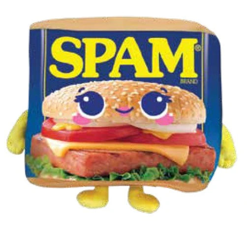 Fiesta Toy-SPAM Boy or Girl-C21073-Legacy Toys