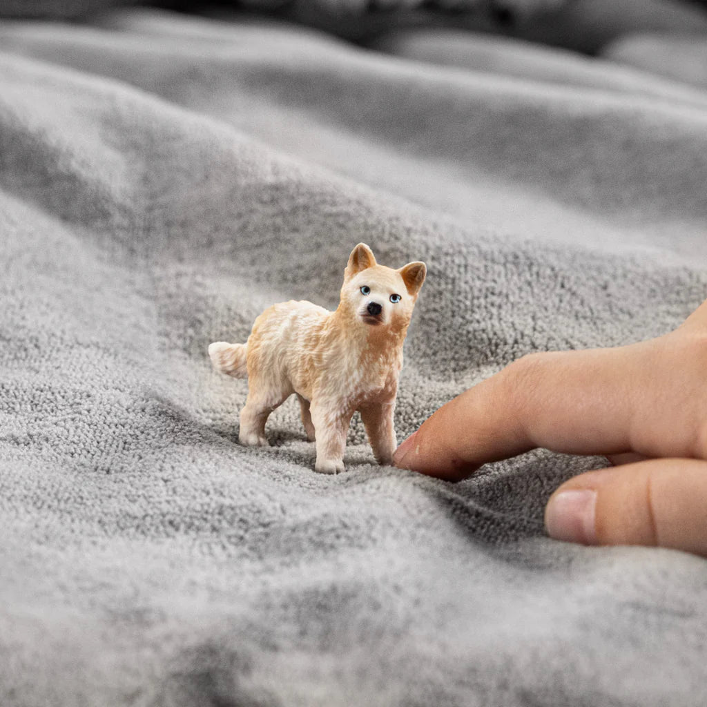 Schleich-Arctic Wolf cub-14881-Legacy Toys
