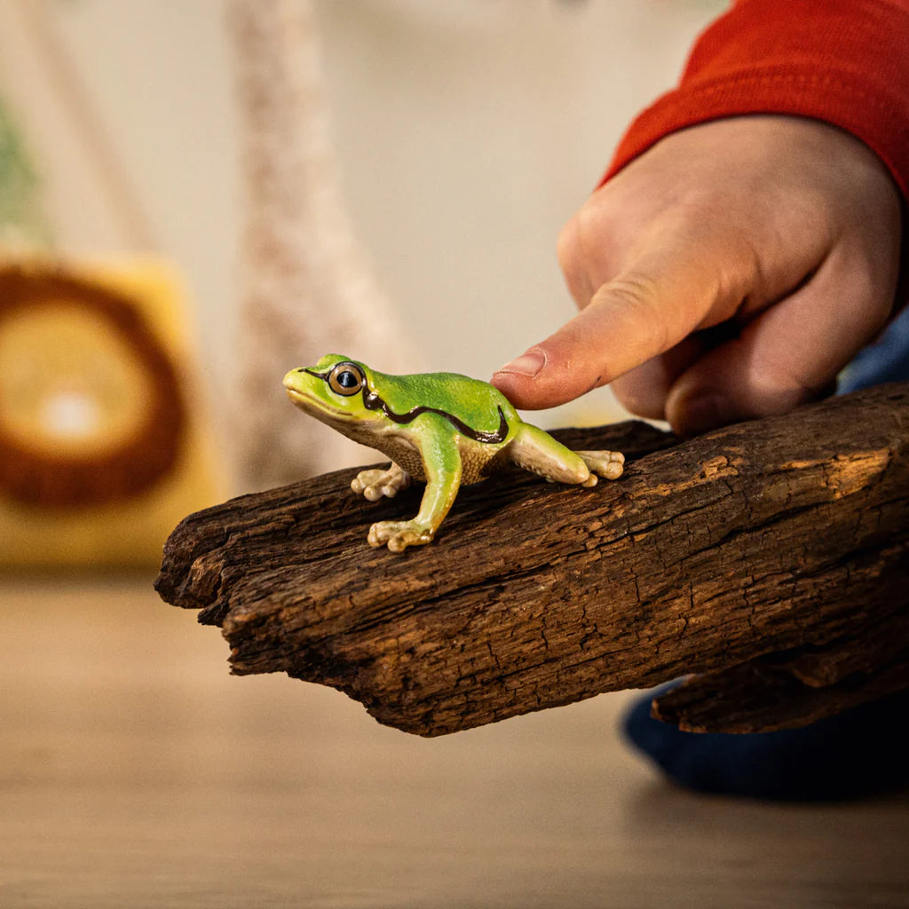 Schleich-European Tree Frog-14882-Legacy Toys