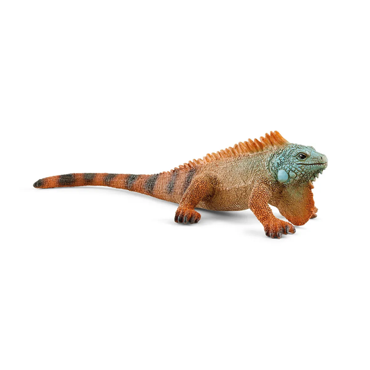Schleich-Iguana-14854-Legacy Toys