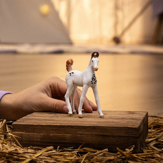 Schleich-Marwari Foal-14896-Legacy Toys