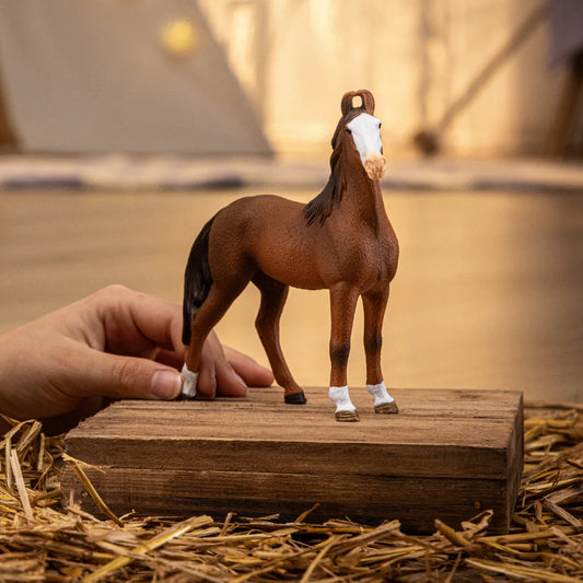 Schleich-Marwari Mare-14897-Legacy Toys