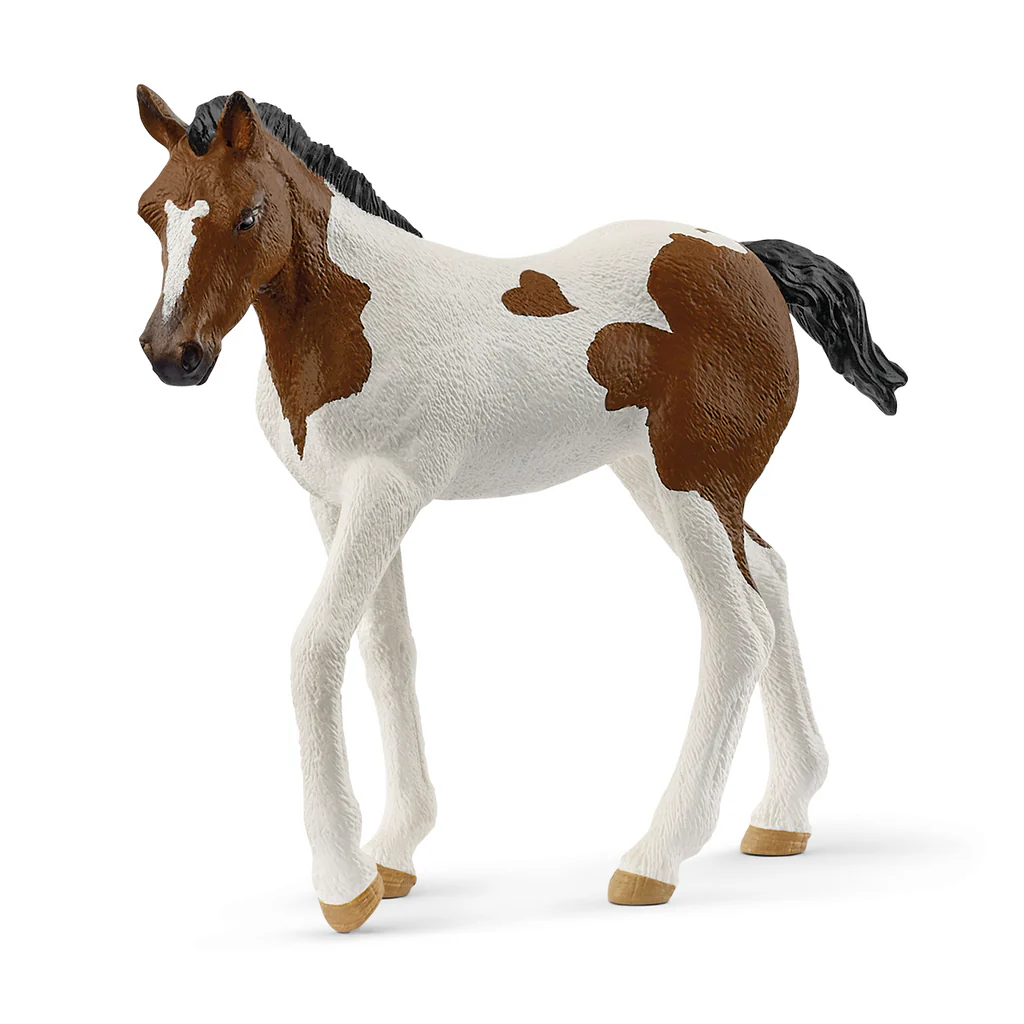 Schleich-Paint Horse Foal-14899-Legacy Toys