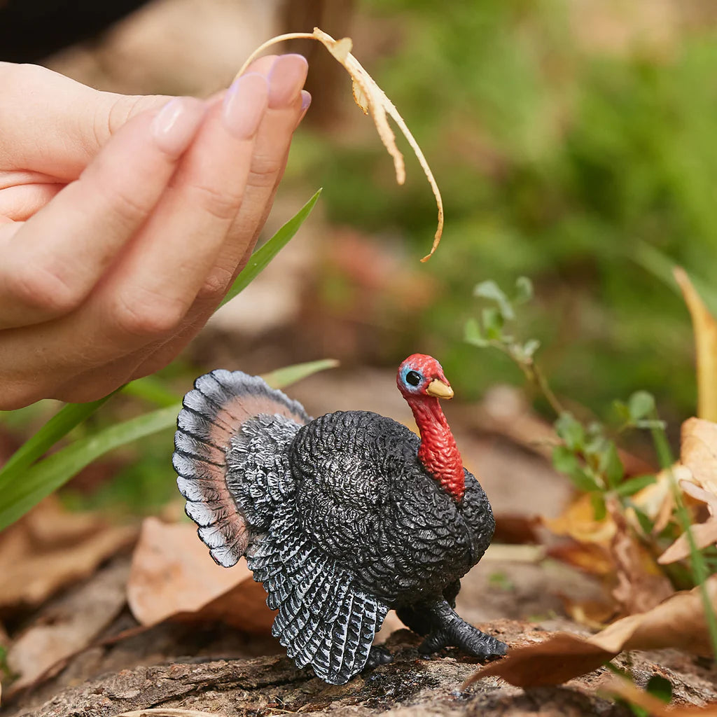Schleich-Schleich Turkey-13900-Legacy Toys