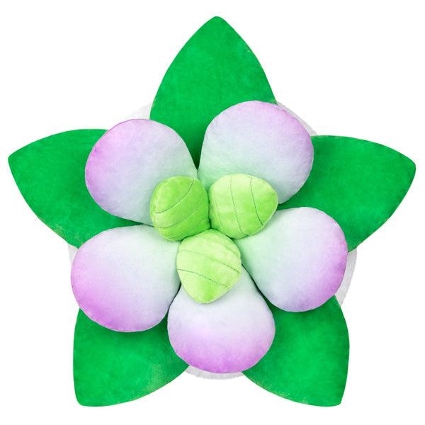 Squishable-Squishables - 15" Succulent-116380-Legacy Toys