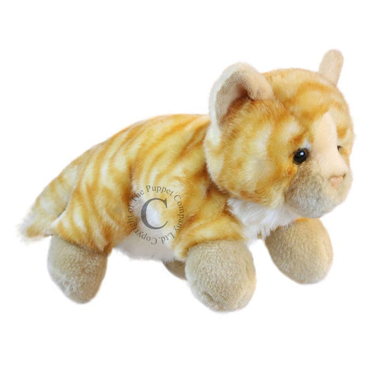 The Puppet Company-Full Bodied Puppet - Cat-PC001803-Legacy Toys