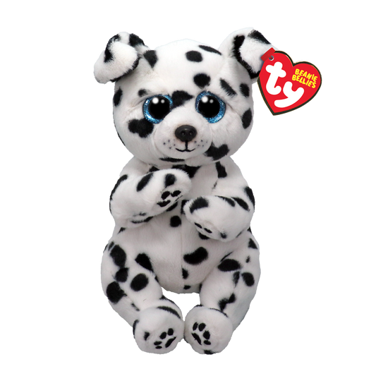 TY-Beanie Bellie - Rowdy Spotted Dalmatian - 8" Small-41502-Legacy Toys