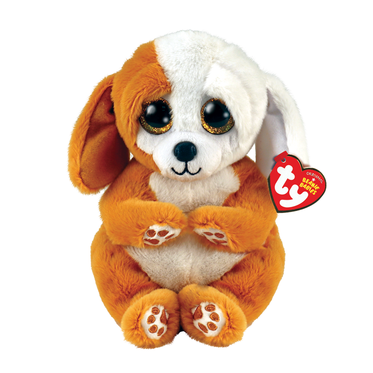 TY-Beanie Bellie - Ruggles Brown and White Dog - 8" Small-40699-Legacy Toys